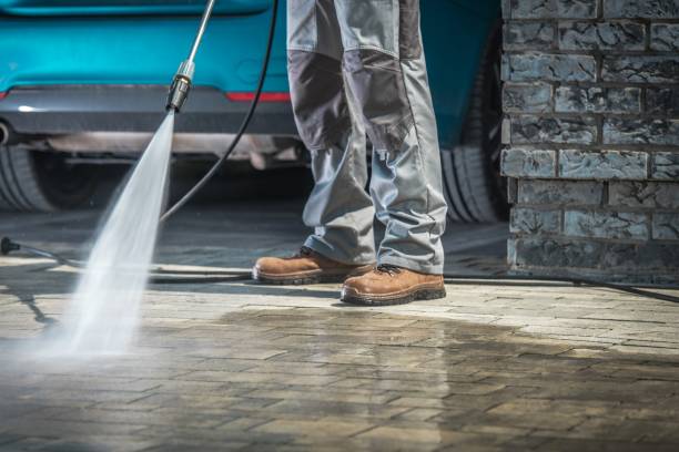 Best Sidewalk and Walkway Cleaning  in Sauk Vlage, IL