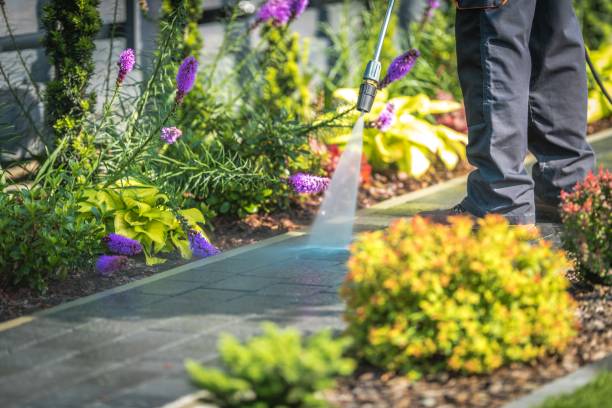 Best Gutter Cleaning  in Sauk Vlage, IL
